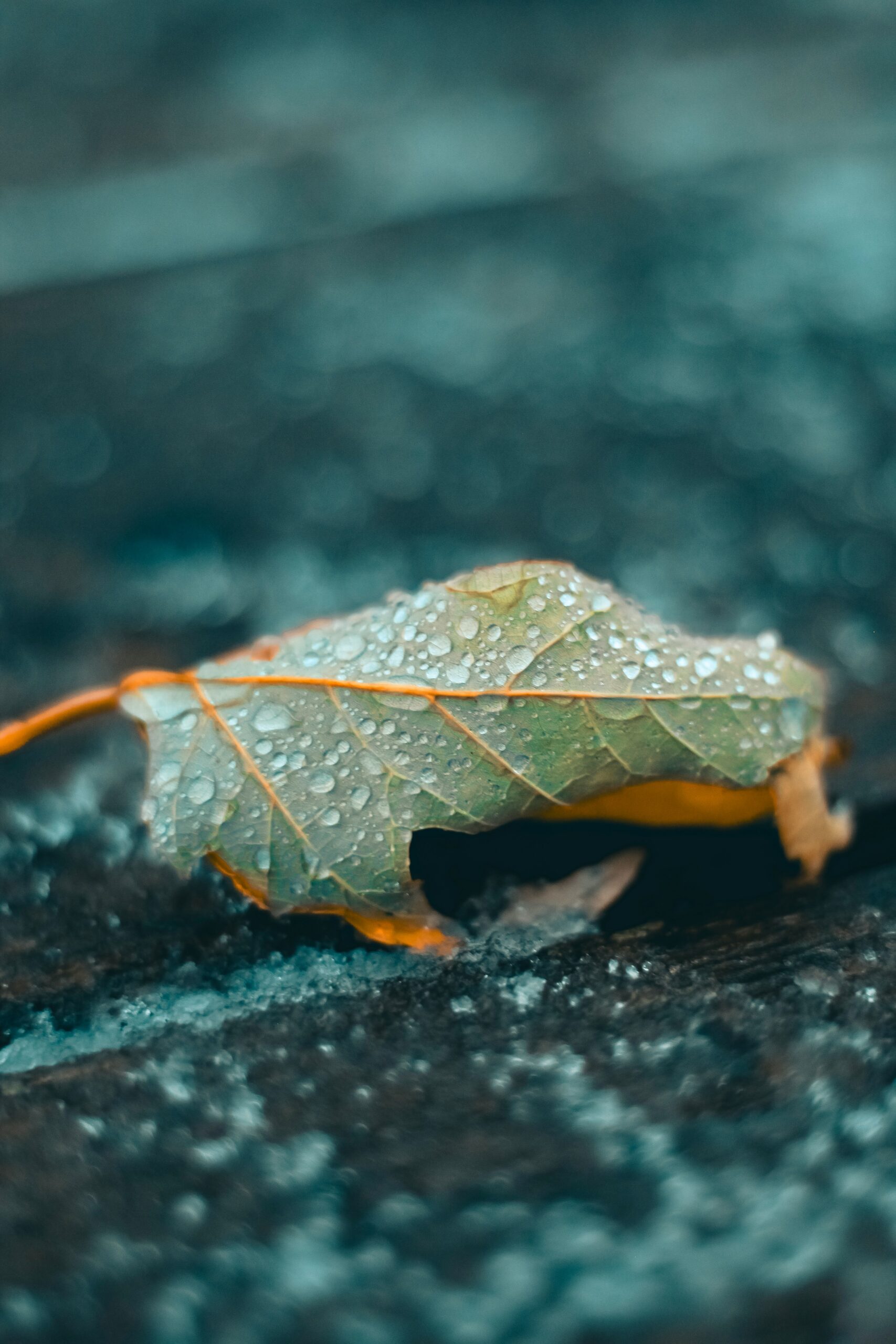 Wet pavement and rainy weather affecting walkability in France