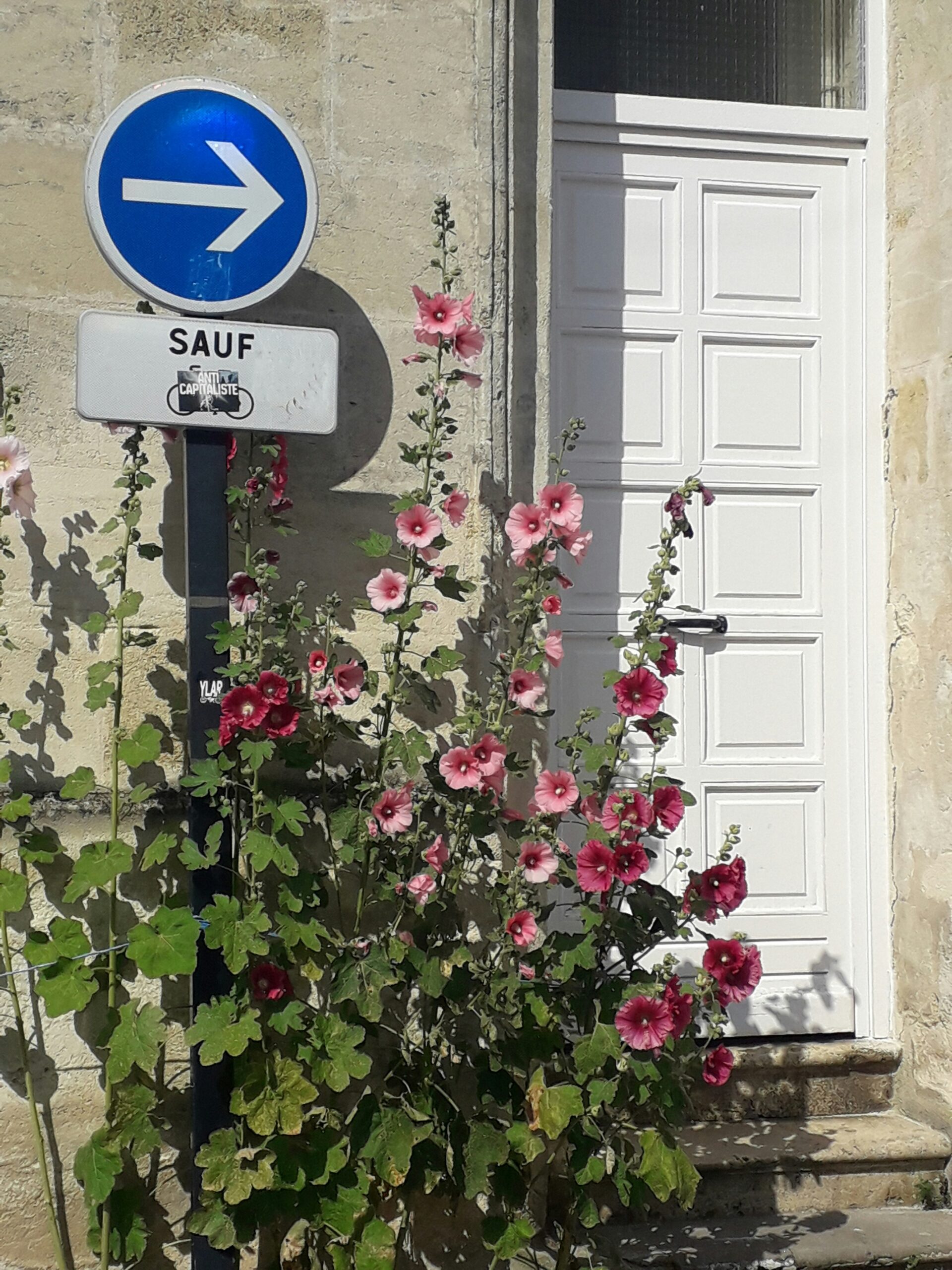Traditional French residential house for retirees