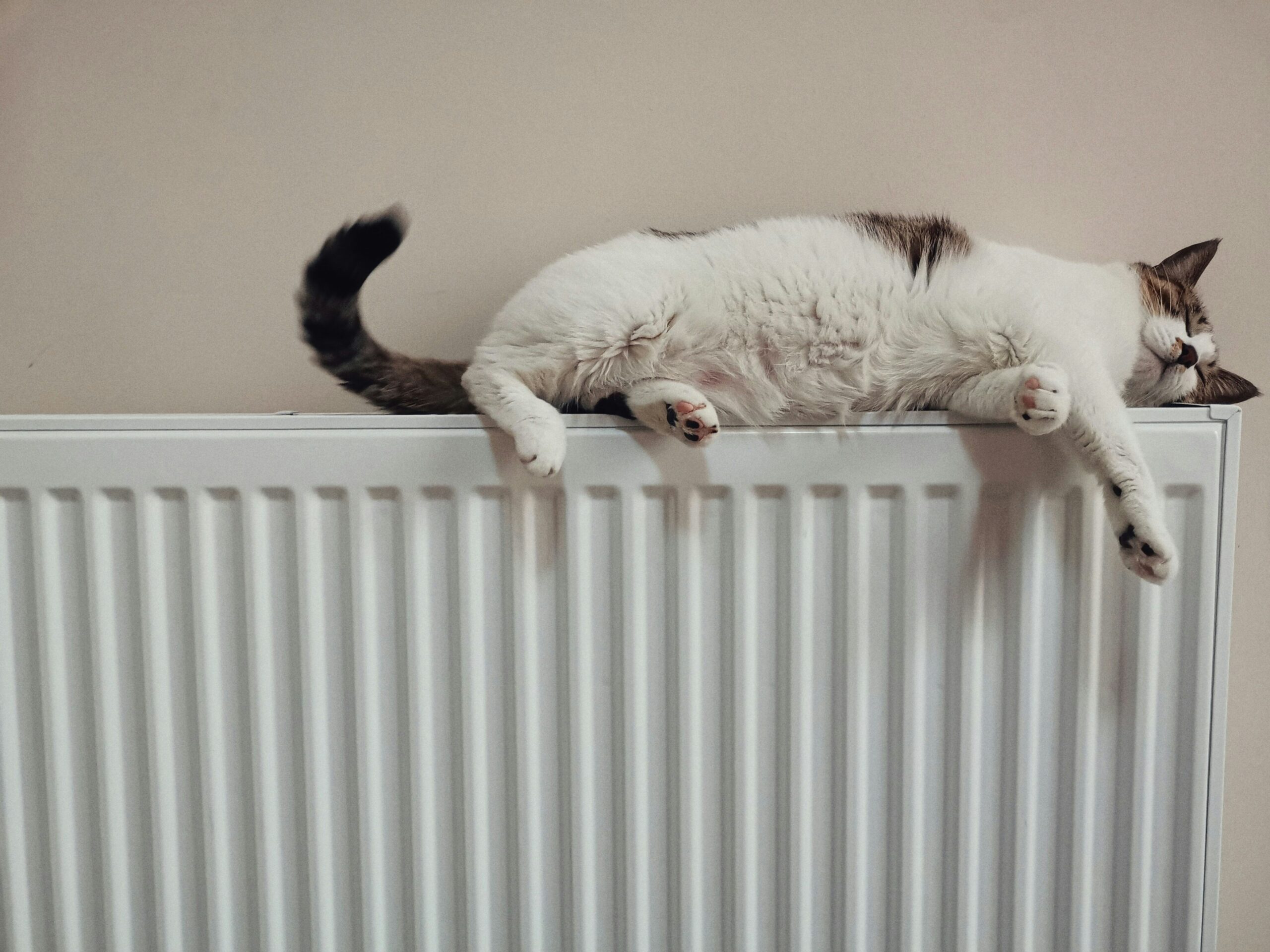 Radiator heating in an older European home
