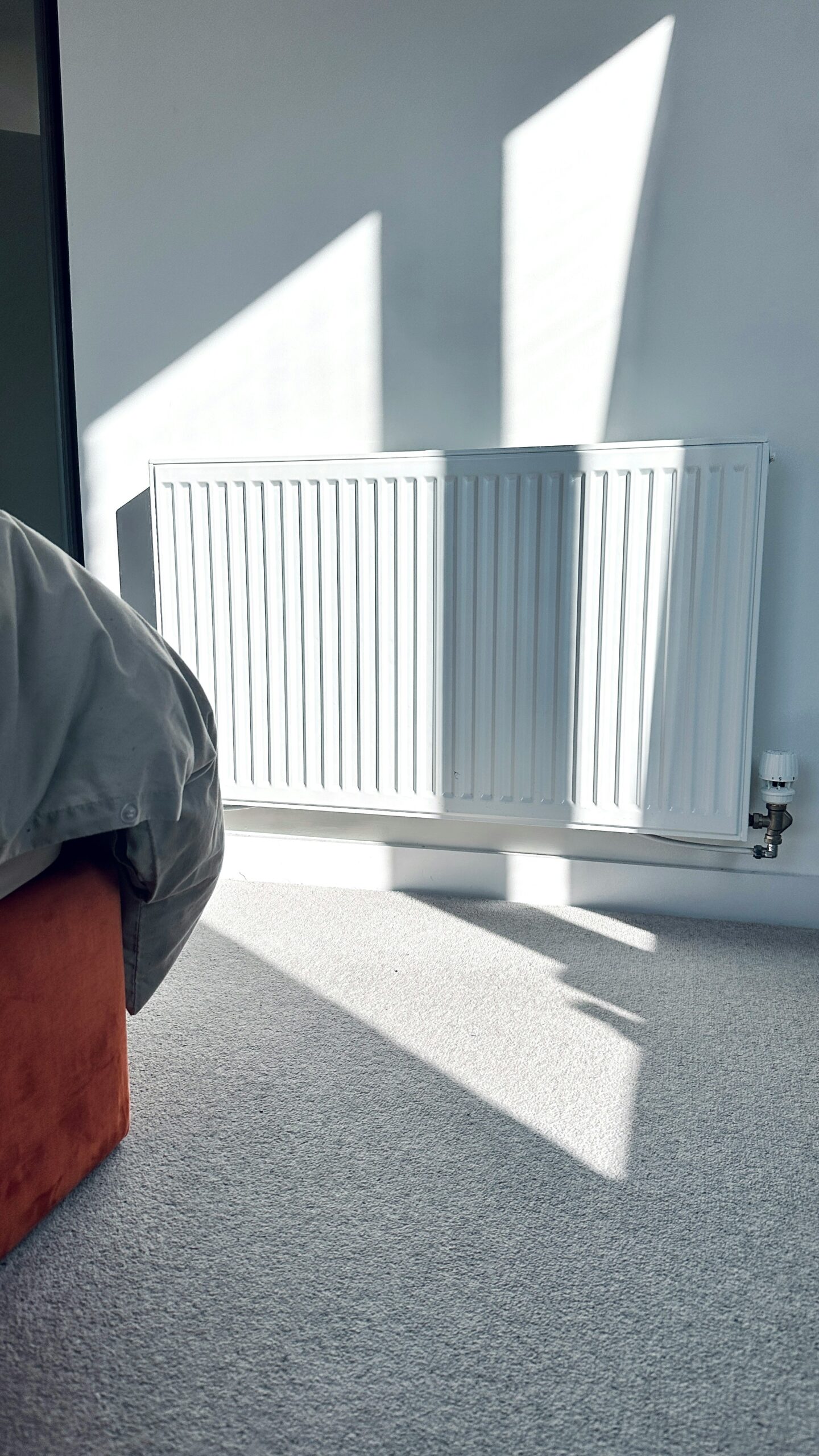 Renovation stress and winter comfort in France
