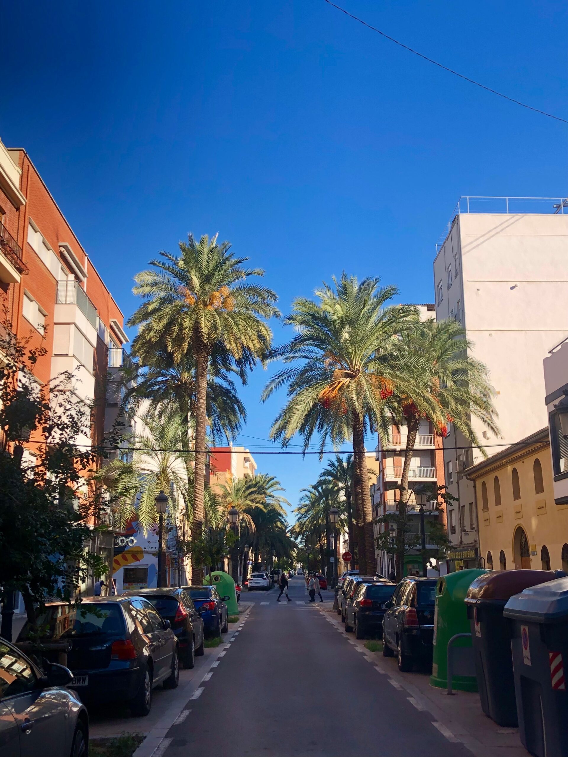 Palm-lined Mediterranean street in Spain for moving abroad lifestyle planning