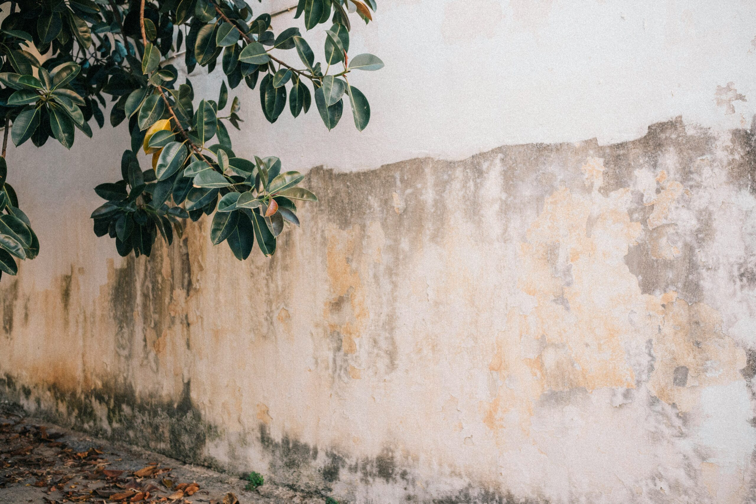 Humidity and mold risk in older housing