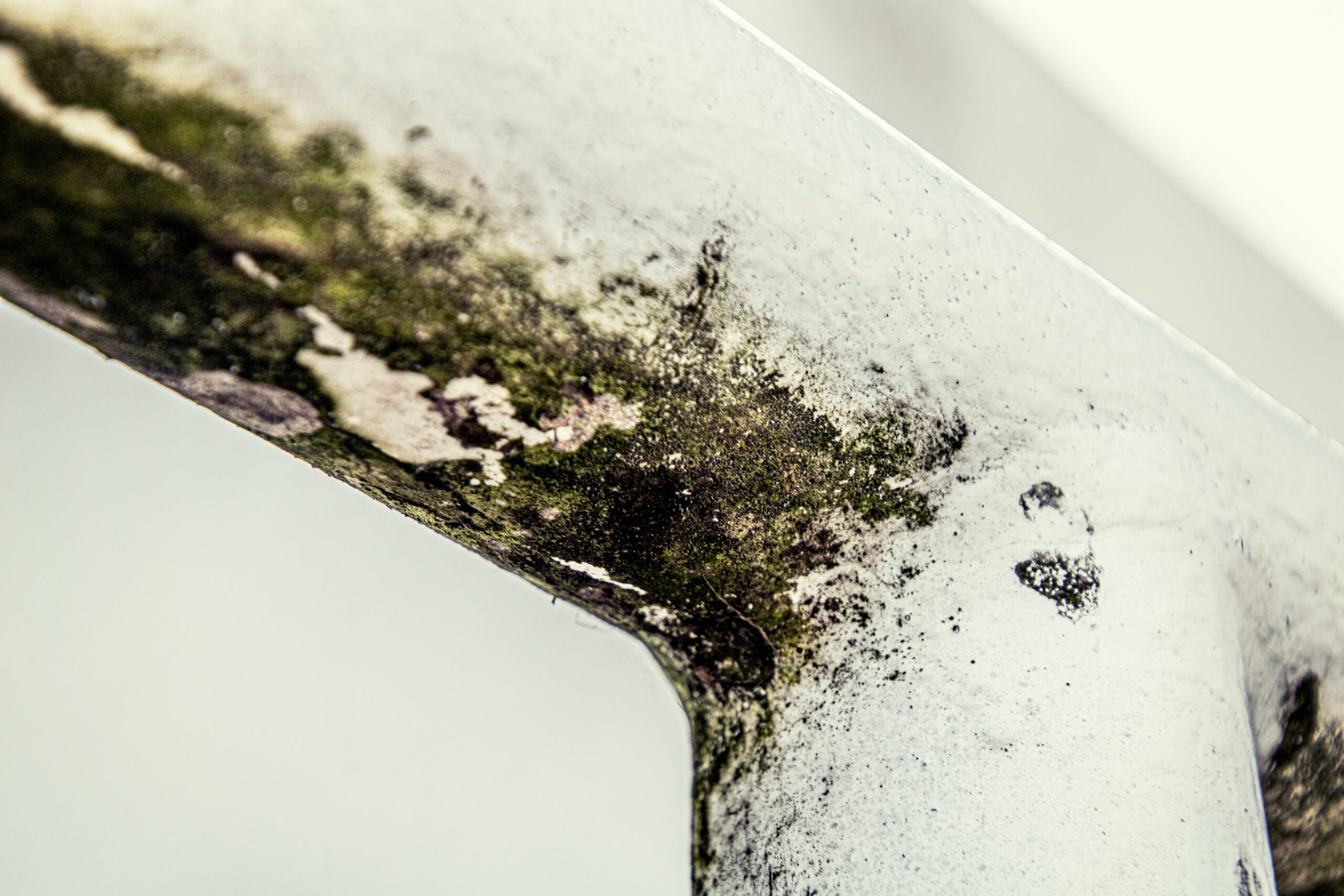 Humidity and mold risk in older housing that retirees should check before renting or buying in Italy