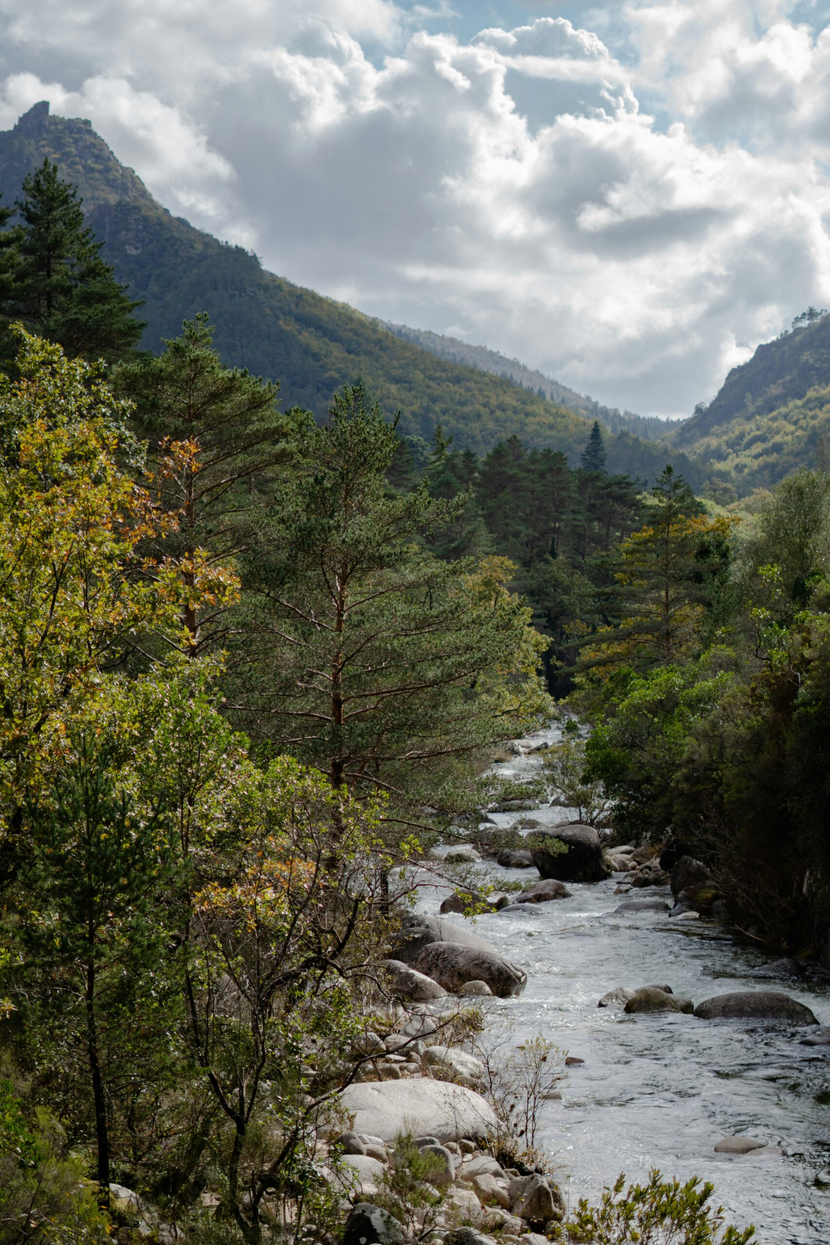 Driving distances and rural roads affecting healthcare access in Portugal