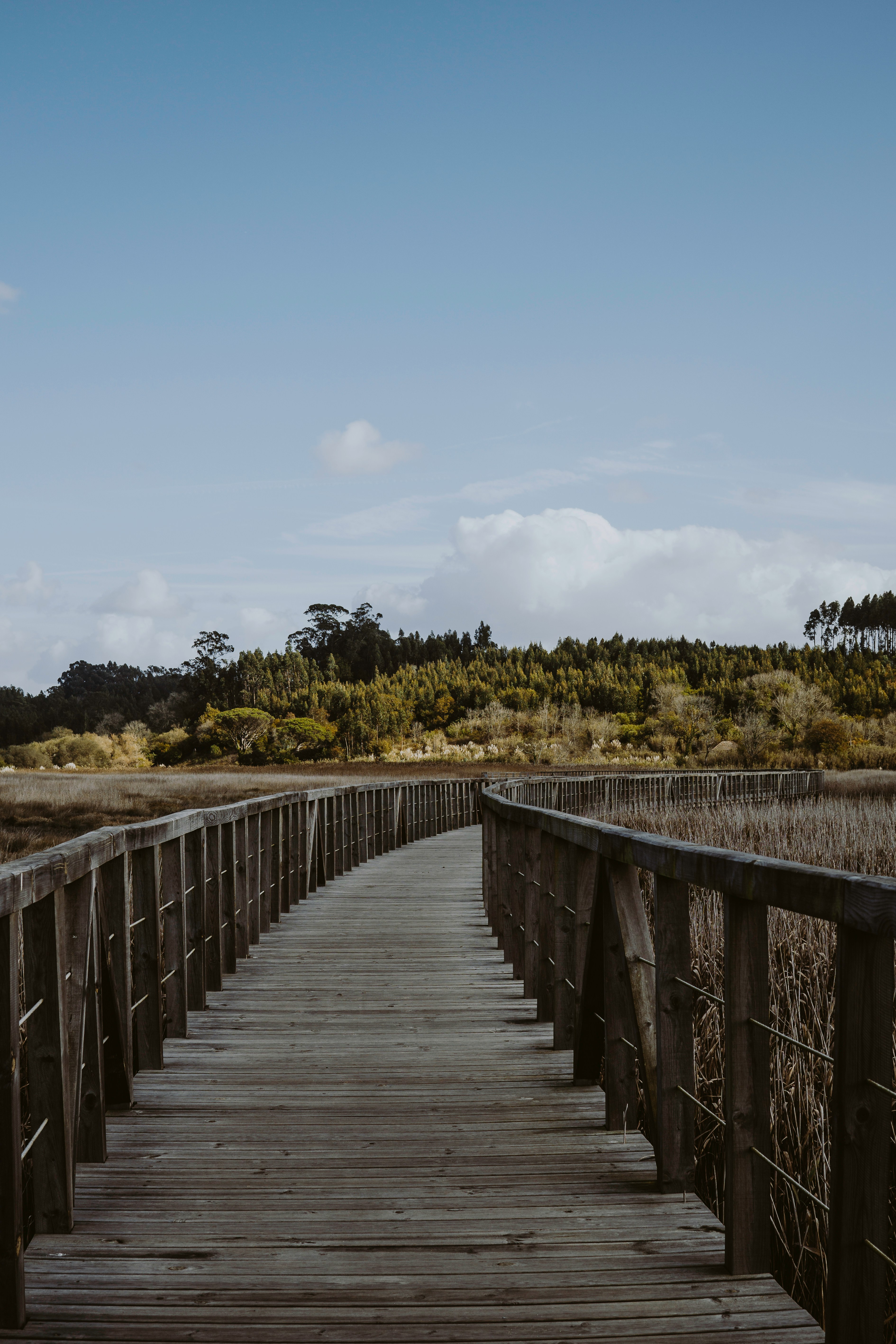 Best areas in the Algarve for retirees
